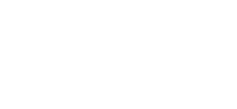 The University of York Logo